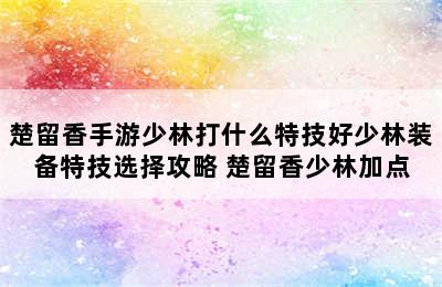 楚留香手游少林打什么特技好少林装备特技选择攻略 楚留香少林加点